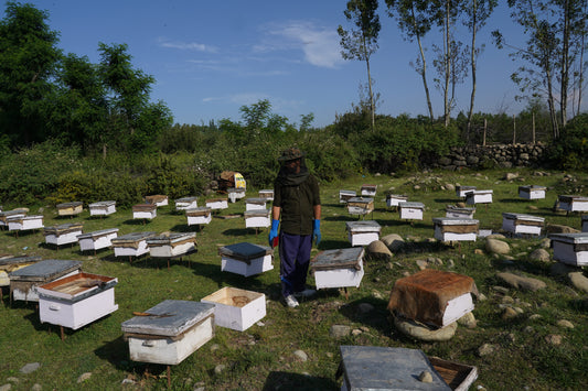 White Cream Honey Raw 500gms