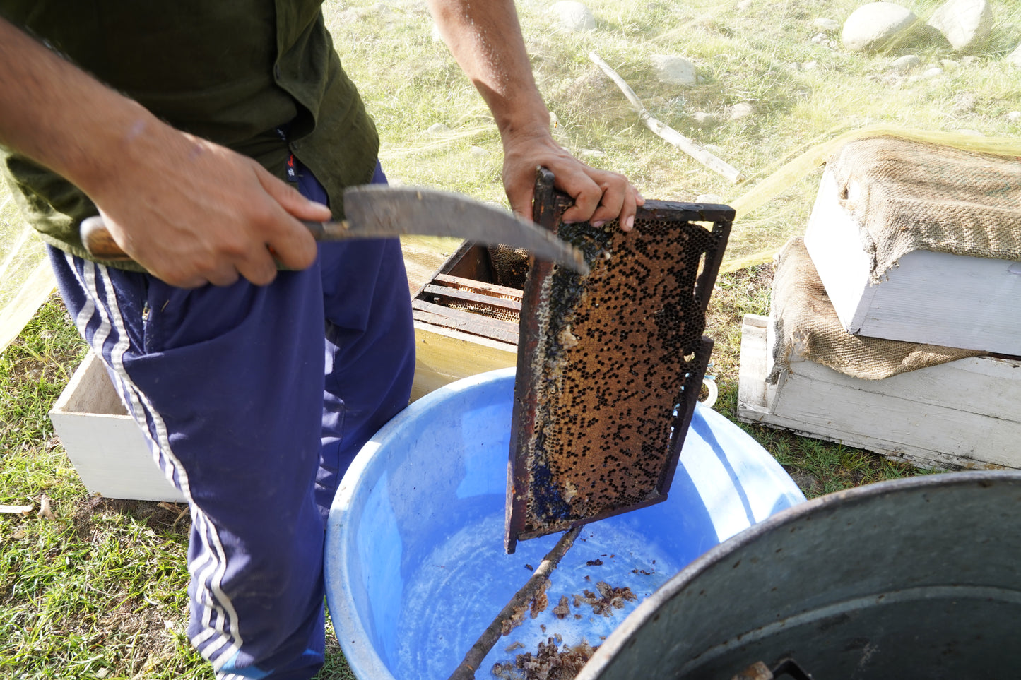 Sidr Honey 500gm