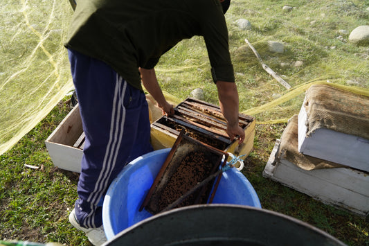 Acacia Honey- Lightly Filtered organic honey- 500gms