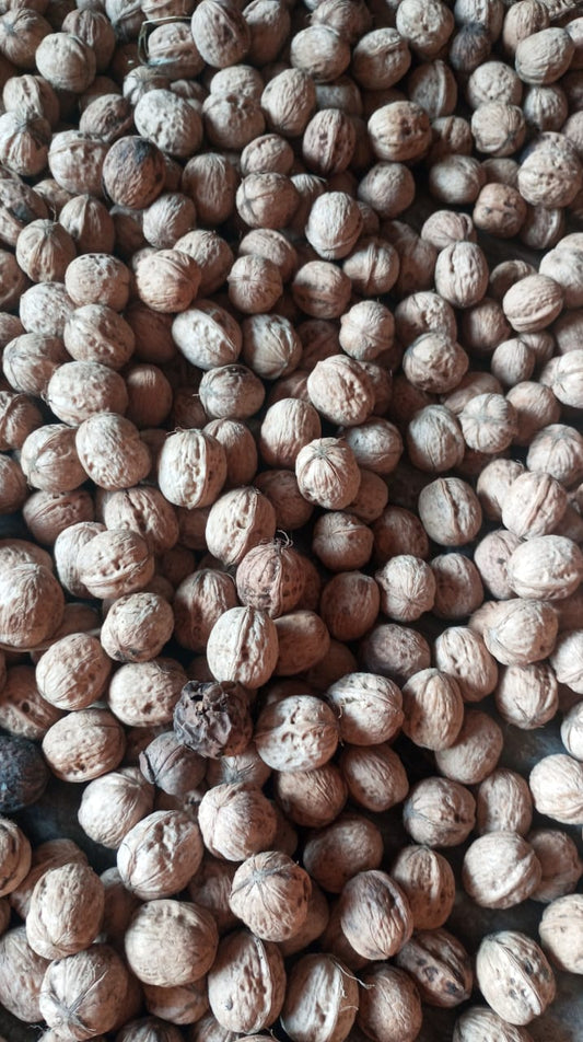 Organic Walnut with kernels 500gm