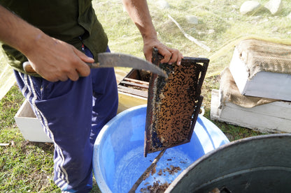 Sidr Honey 500gm