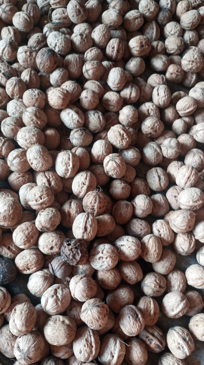 Organic Walnut with kernels 500gm