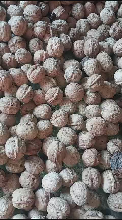 Organic Walnut with kernels 500gm