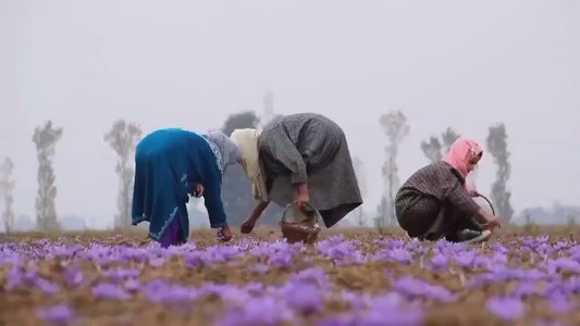 Organic Rare Kashmiri Saffron Grade A+ 1gm