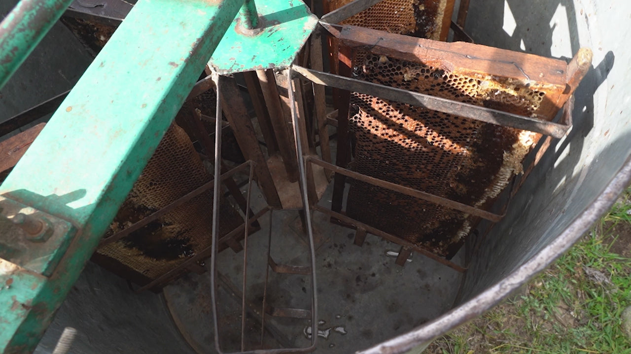 Load video: 